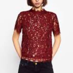 Zara dark red maroon lace crop short sleeve zip back top